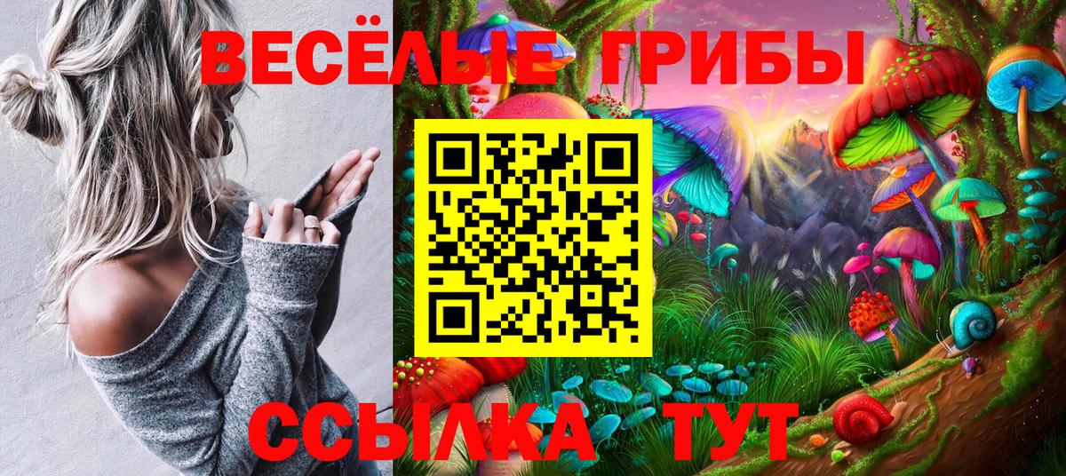 Псилоцибиновые грибы Psilocybine cubensis Зеленокумск