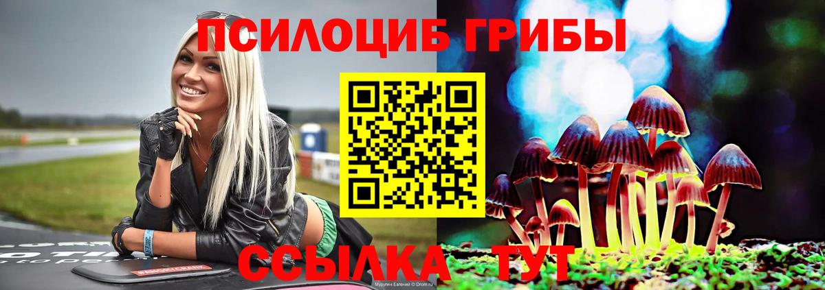 Псилоцибиновые грибы Psilocybe  Вход с VPN  Зеленокумск 